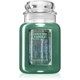 Country Candle White Birch &amp; Rain lum&acirc;nare parfumată 737 g