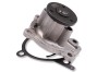 HEPU P7388 Pompă de apă, răcire motor