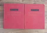 R. D. Sinelnikov - Atlas de Anatomie Umana, in limba rusa vol. I si II