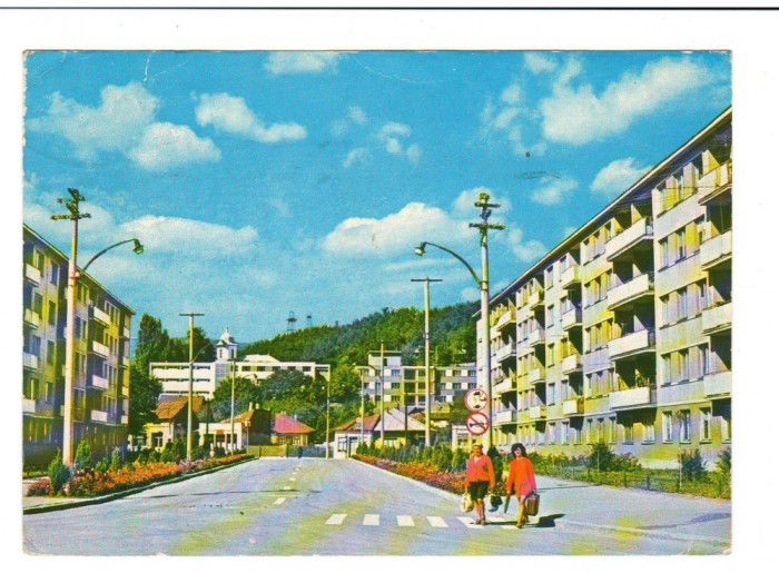 CPIB 18375 CARTE POSTALA - MONESTI, VEDERE GENERAL