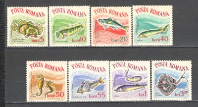 Romania.1964 Pesti ZR.211 foto