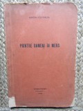 Aron Cotrus - Printre oameni in mers (Sosnowiec, Polonia, 1933)