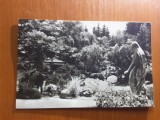 Cluj - Gradina botanica - Carte postala circulata 1966, Fotografie
