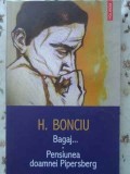 BAGAJ... PENSIUNEA DOAMNEI PIPERSBERG-H. BONCIU-351595