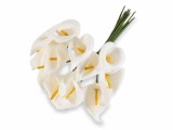 Cumpara ieftin Buchet 12 Cale artificiale albe &Oslash; 2 cm x 10 H