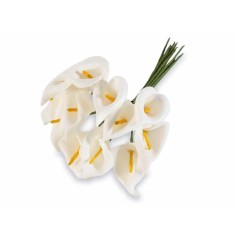Buchet 12 Cale artificiale albe &Oslash; 2 cm x 10 H