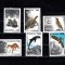 M1 TX9 5 - 1996 - Fauna