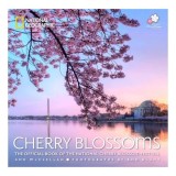 Cherry Blossoms, Ann McClellan, Ron Blunt