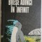 Brese adanci in infinit &ndash; D. St. Andreescu