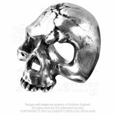 Inel Craniu in ruina (Q-Z1) foto