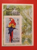 RAS AL KHAIMA, PĂSĂRI - COLIȚĂ MNH IMPERF.