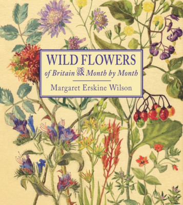Wild Flowers of Britain: Month by Month foto