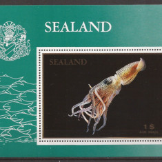 SEALAND FAUNA MARINA ( colita dantelata ) MNH