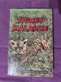 Tigres de Malaisie - Locke A.