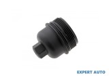 Capac baterie filtru ulei BMW Seria 5 GT (2009-&gt;) [F07] #1, Array