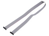 Cablu panglică SAMTEC IDC 635mm FFSD-13-D-25.00-01-N cu conectori IDC ambele părți