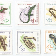România, LP 601/1965, Reptile, MNH