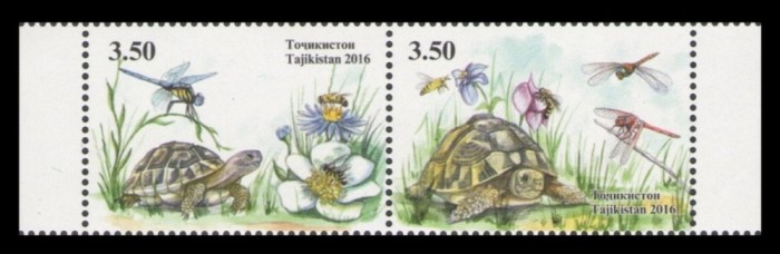 TAJIKISTAN 2016 FAUNA BROASTE TESTOASE INSECTE ALBINE LIBELULE