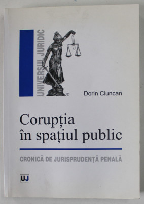 CORUPTIA IN SPATIUL PUBLIC , CRONICA DE JURISPRUDENTA PENALA de DORIN CIUNCAN , 2013 foto