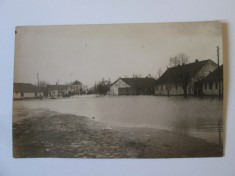Rară! Carte postala foto Zadareni(Arad):Inundatiile din 1932