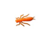 Năluca soft Crazy Fish Kasari 40mm culoare 77 Shrimp+Squid