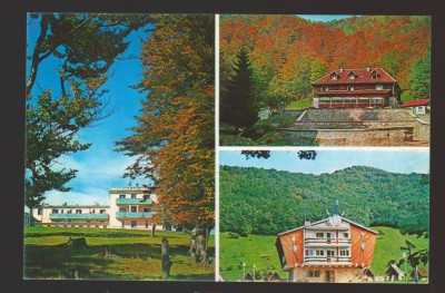 CPIB 21997 - CARTE POSTALA - JUD. HUNEDOARA, MOZAIC, NECIRCULATA foto