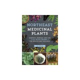 Northeast Medicinal Plants: Identify, Harvest, and Use 111 Wild Herbs for Health and Wellness