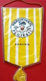 Fanion Sport - &quot;FEROEMAIL&quot; PLOIESTI (dimensiuni mari 25x16 cm)