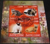 Sierra Leone 2020 &ndash; Pisici de rasă (Chartreux, Norwegian Forest, Siamese, Munchkin) &ndash; Coliță CTO -A61