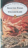 William Blake - Selected Poems