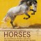 The World&#039;s Most Beautiful Horses