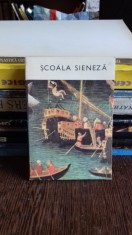 Manole Neagoe - Scoala Sieneza foto