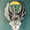 Insigna parasutist militar 1977 1989 RSR Cl 1