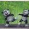 bnk cp Carte postala 3d - Ursuleti panda - necirculata