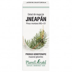 Extract Muguri Jneapan 50ml PlantExtrakt