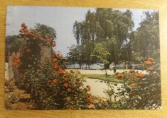 QW23 B - Carte postala - tematica turism - vedere - Romania - Bucuresti 139