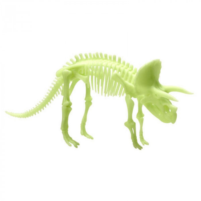 Schelet fosforescent Triceratops Brainstorm, 23 x 10 cm, plastic, 6 ani+