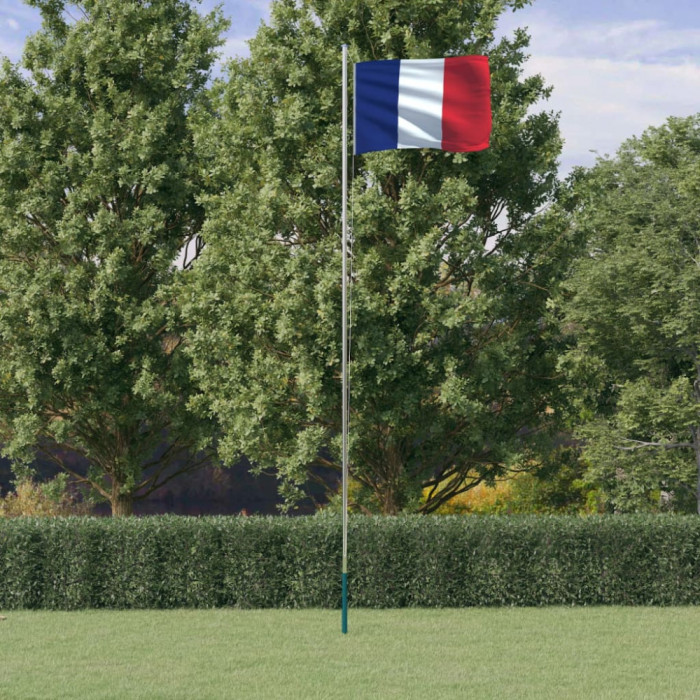 vidaXL Steag Franța și st&acirc;lp din aluminiu, 6,23 m