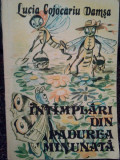 Lucia Cojocariu Damsa - Intamplari din padurea minunata (editia 1989)