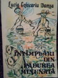 Lucia Cojocariu Damsa - Intamplari din padurea minunata (Editia: 1989)