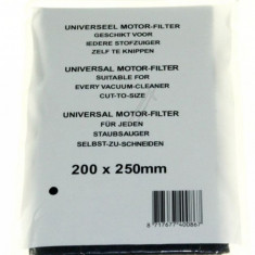 FILTRU MOTOR ASPIRATOR 200 X 250 MM, UNIVERSAL,340929