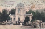 Salutari din Vatra-Dornei (circulata 1905)