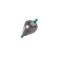 PLUMBI PICATURA JAXON INLINE 6GR