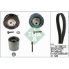 Kit distributie Ina 530036110