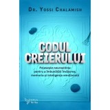 Codul creierului, ForYou