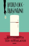 Necunoscuta din congelator | Rodica Ojog-Brasoveanu