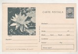 Bnk cp Nufar - Carte postala - necirculata - marca fixa