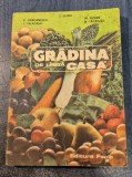 Gradina de langa casa Zaharia Suciu