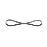 Bosch Curea transmisie cu caneluri Elastic