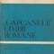Capcanele limbii romane